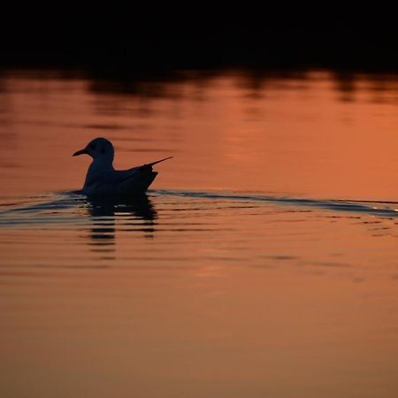 Agriturismo Venice Photobirding Tessera Zewnętrze zdjęcie