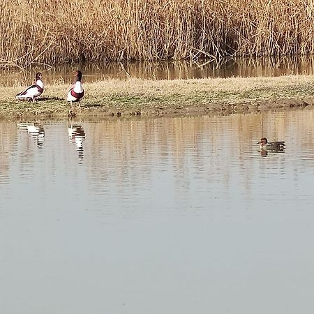 Agriturismo Venice Photobirding Tessera Zewnętrze zdjęcie
