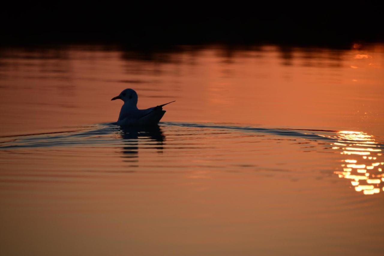 Agriturismo Venice Photobirding Tessera Zewnętrze zdjęcie