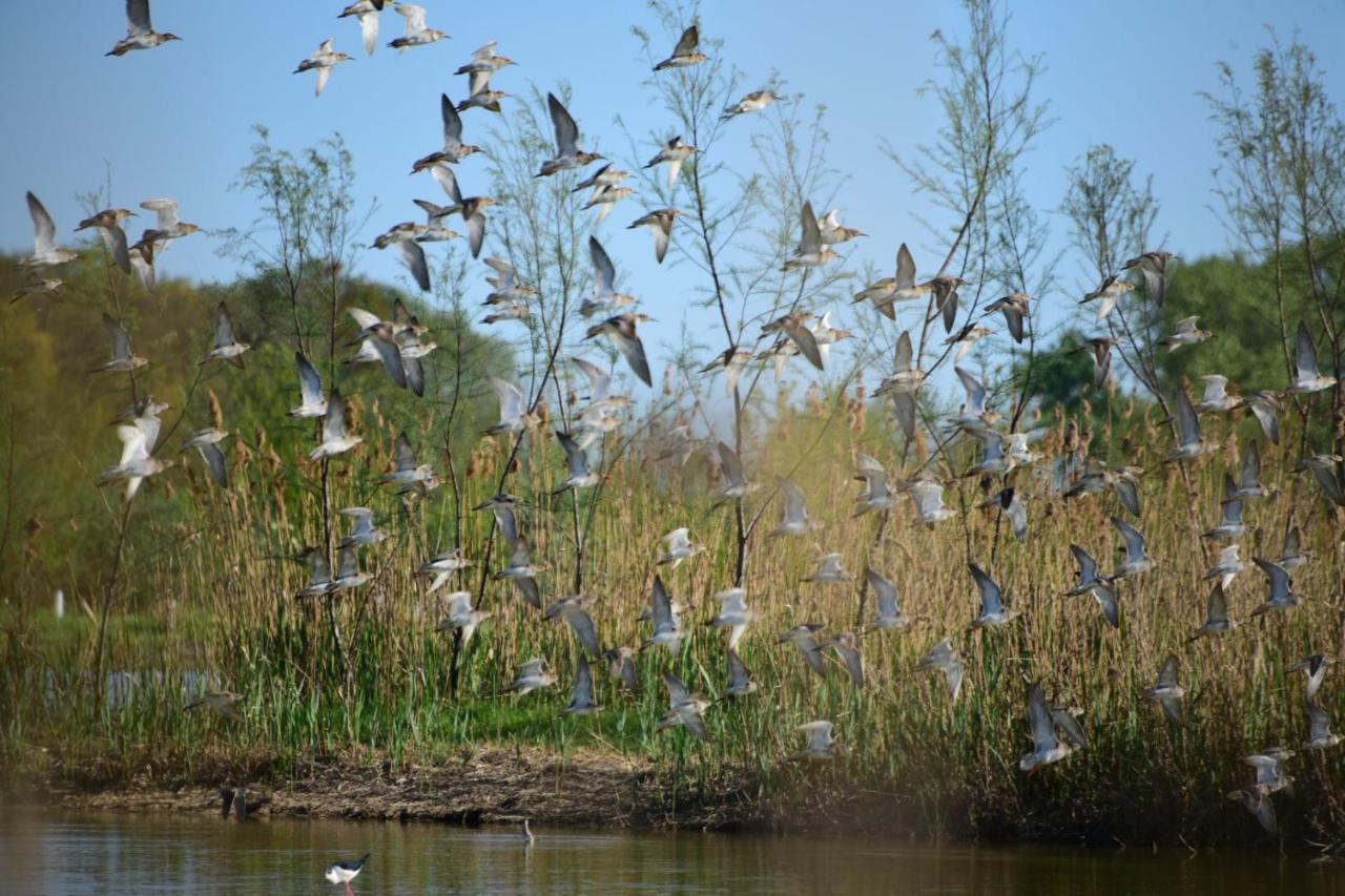 Agriturismo Venice Photobirding Tessera Zewnętrze zdjęcie