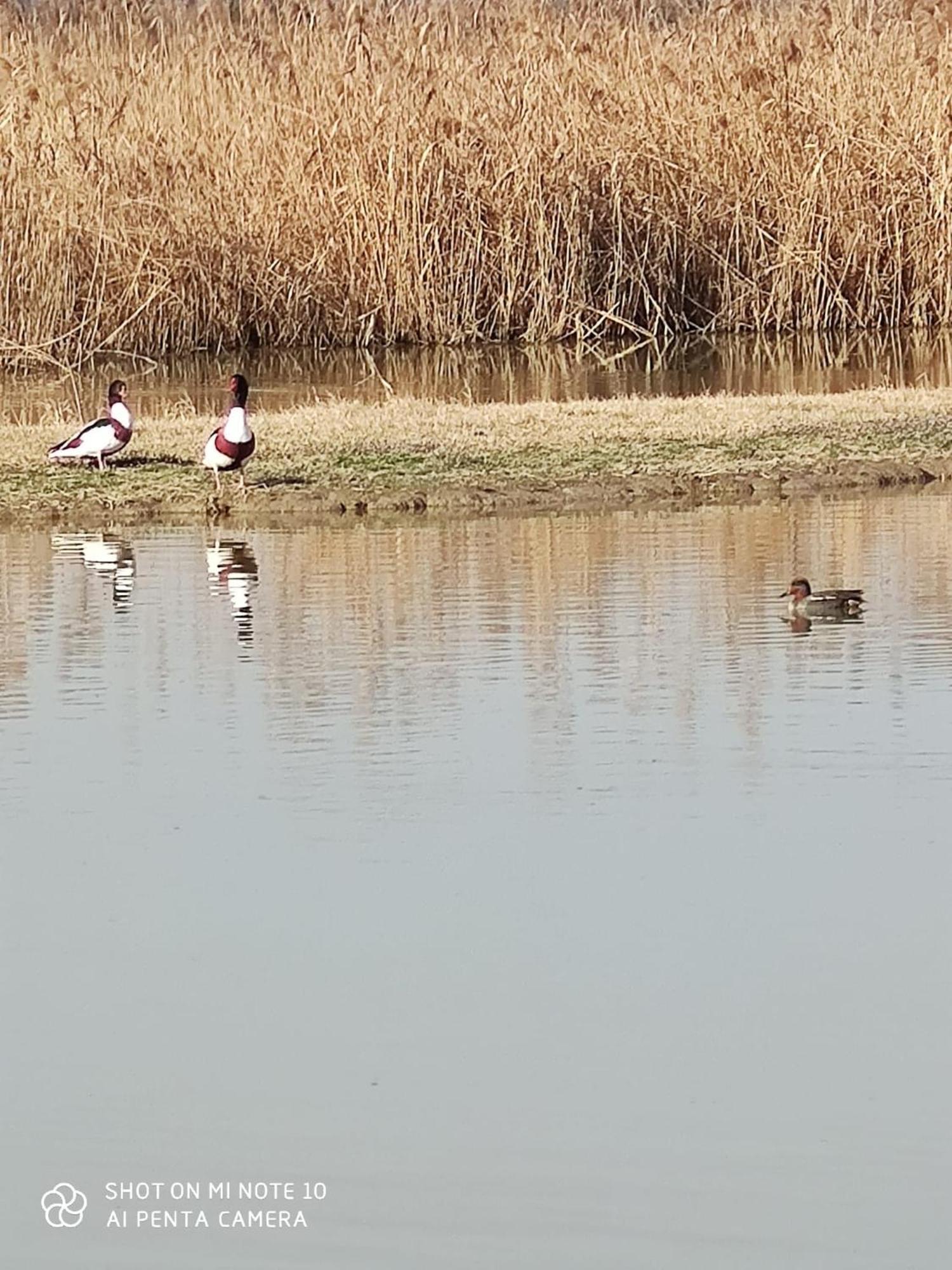 Agriturismo Venice Photobirding Tessera Zewnętrze zdjęcie
